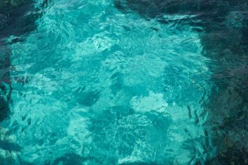 Bue Marino: la forza della natura