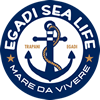 Egadi sea life escursioni gommone Favignana Levanzo