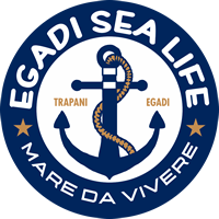 Egadi Sea Life Escursioni isole Egadi